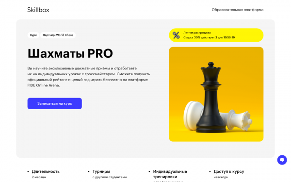 Шахматы PRO