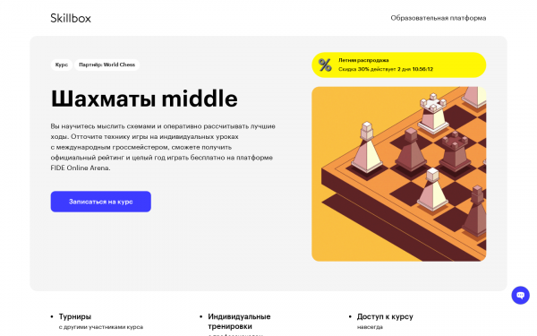 Шахматы middle
