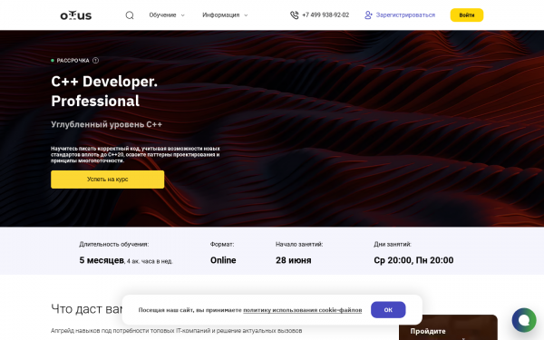 C++ Developer. Professional