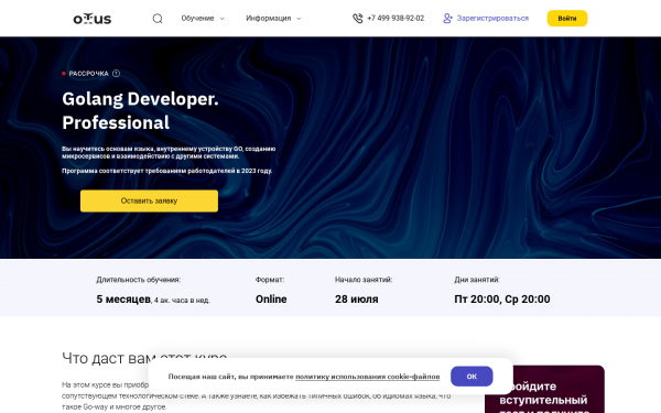 Golang Developer. Professional