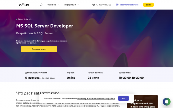 MS SQL Server Developer
