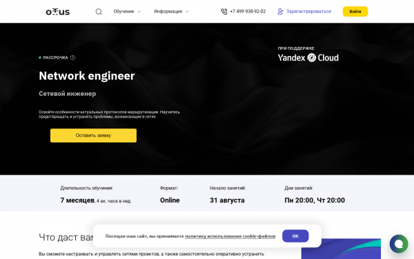 Network Engineer. Professional