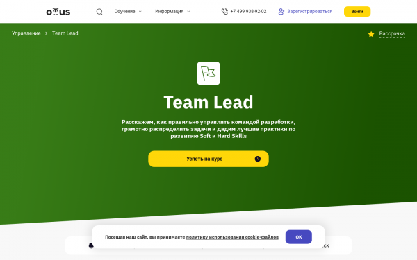 Team Lead