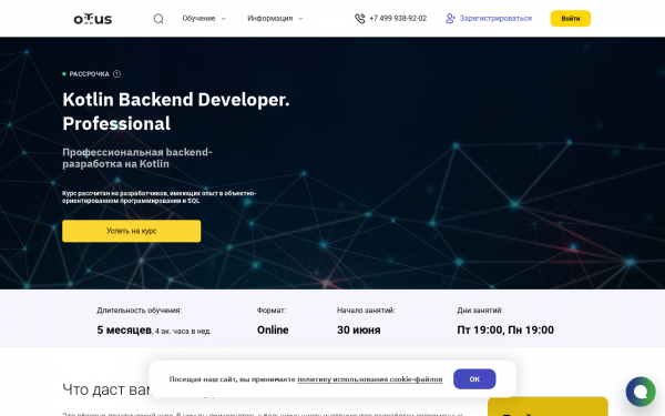 Kotlin Backend Developer. Professional