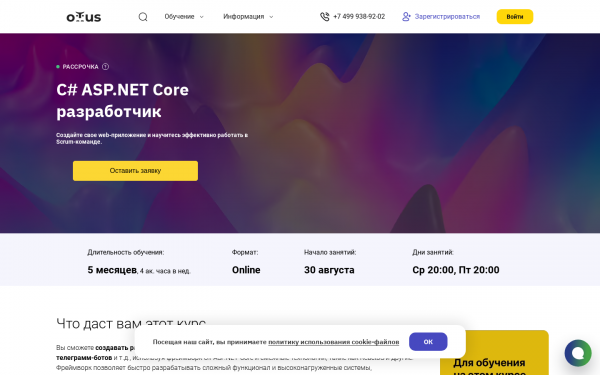 C# ASP.NET Core разработчик