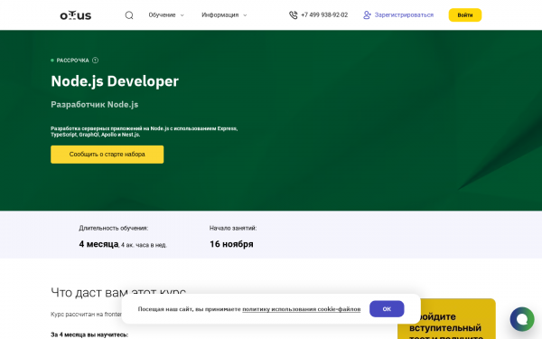 Node.js Developer
