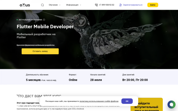 Flutter Mobile Developer