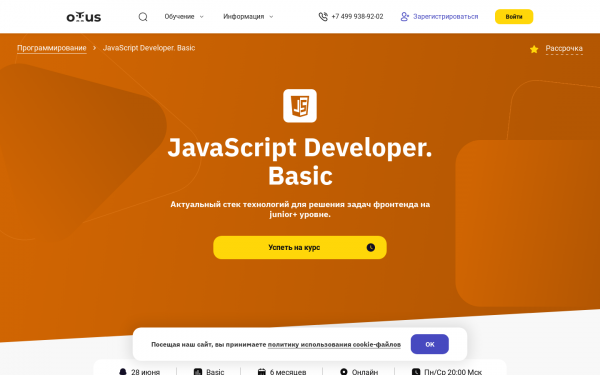 JavaScript Developer. Basic