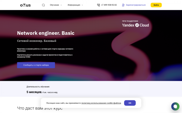 Network Engineer. Basic