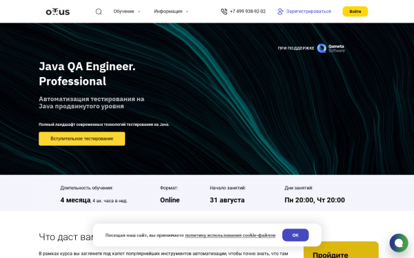 Java QA Engineer. Professional