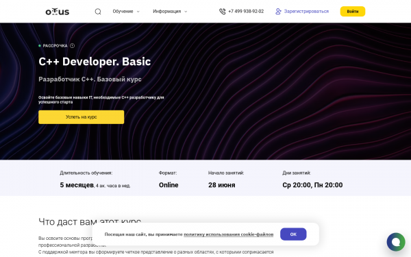 C++ Developer. Basic