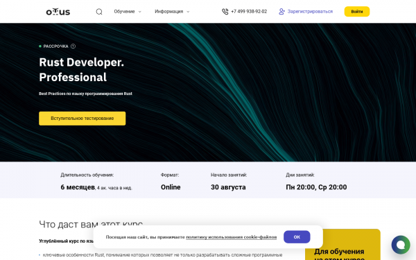 Rust Developer. Professional