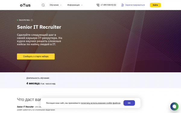 Senior IT Recruiter