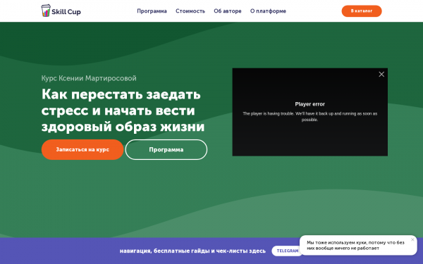 Курс Ксении Мартиросовой Как перестать заедать стресс