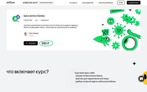 Биосинтез белка