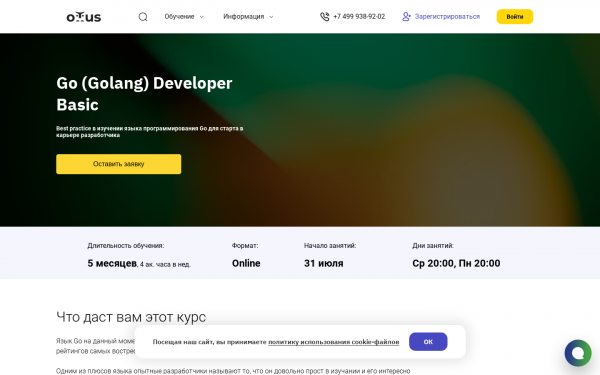 Go (Golang) Developer Basic